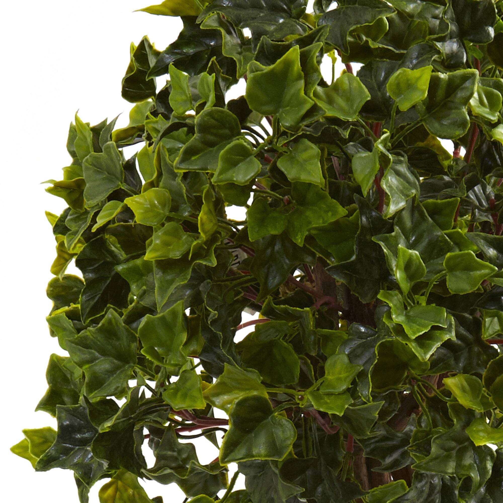 2.5ft. Potted English Ivy Topiary